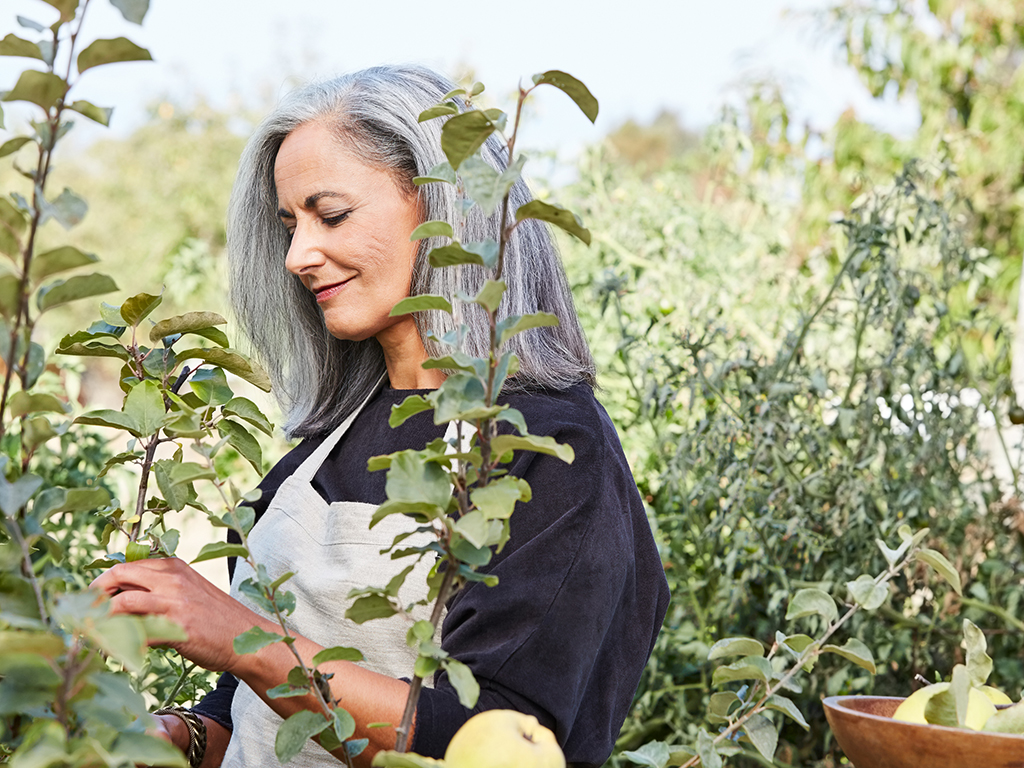 The Health Benefits of Early Retirement