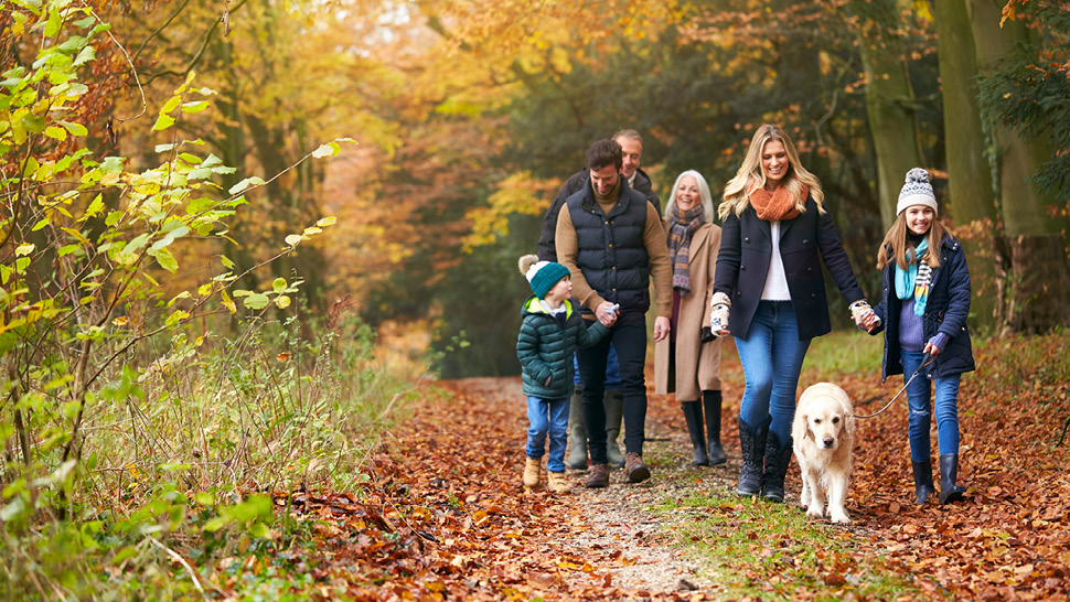 Le prêt au taux prescrit : un outil de planification efficace pour réduire la charge fiscale globale de<br> votre  famille 