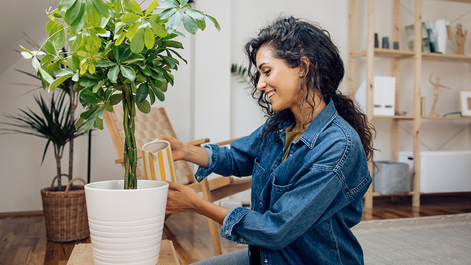 Plus de possibilités de revenu de placement libre d’impôt en  2023