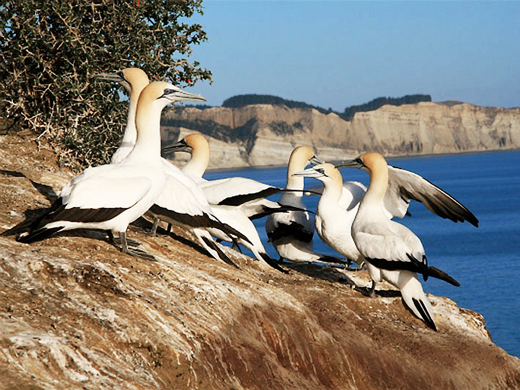 5 voyages pour la retraite 