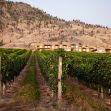 Séjournez dans la vallée de l’Okanagan 