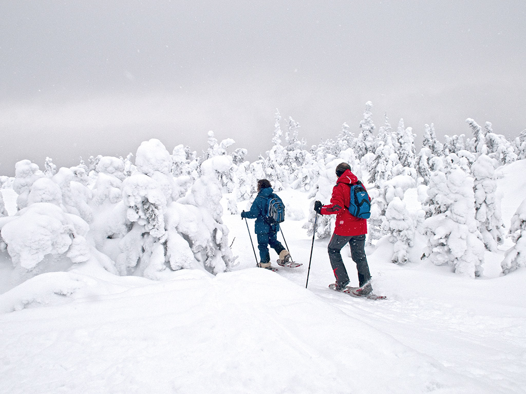 5 activités hivernales (à part le ski) 