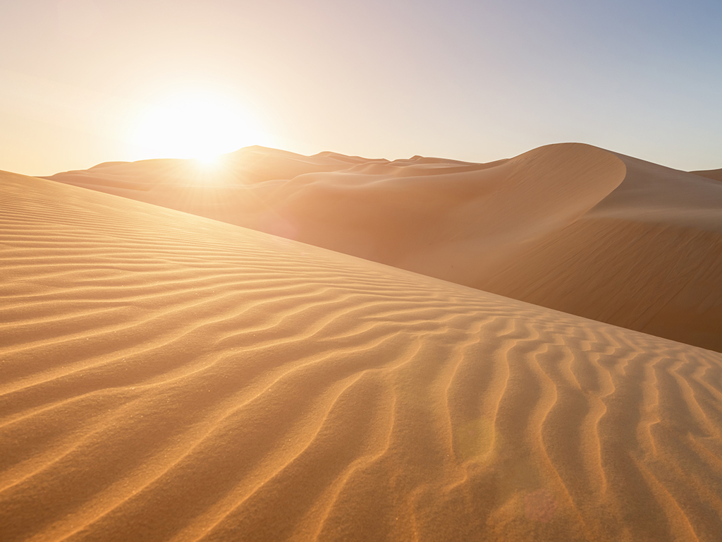 Fluctuation des marchés 