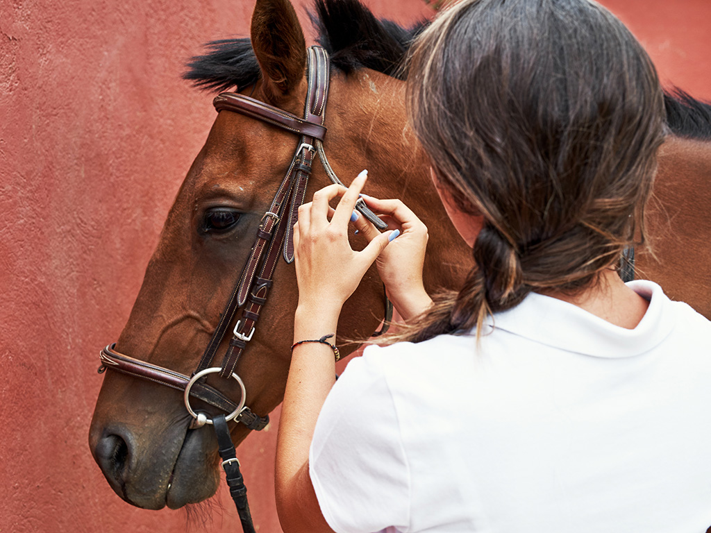 Back view of brunette teen wearing horse equipment