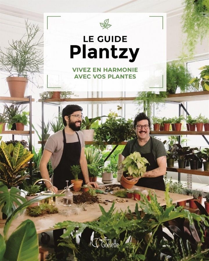 plantzy plantzy